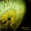 Cover Life Cycle - Emergence