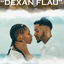 Cover Dexan Flau