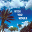 Cover Wish You Would