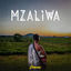 Cover Mzaliwa