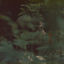 Cover Eight