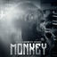 Cover Monkey (feat. Stavo)
