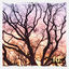 Cover Messy Hopes (dreams, flickering bright) (Extended Mix)