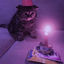 Cover Birthday Pillowtalk
