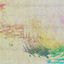 Cover Grace