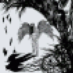 ''