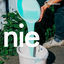 Cover Nie