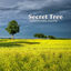 Cover Secret Tree