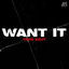 Cover Want It (DnB Edit)