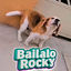Cover Bailalo Rocky (GUARACHA ALETEO)