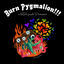 Cover BURN PYGMALION​!​!​! A Better Guide to Romance