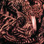 Cover Dissection