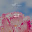 Cover Jaded