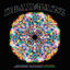 Cover Deadjazz (Plays The Music of the Grateful Dead)