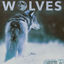 Cover Wolves (Jersey Club Mix)