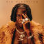 Cover 5th Dimension
