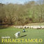 Cover Paracetamolo