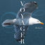 Cover Voyager