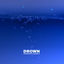 Cover Drown