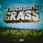 Cover TOUCH SOME GRASS