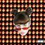 Cover FEU