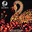 Cover Cosmic Wonders