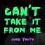 Cover Can't Take It from Me