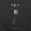 Cover P4DP