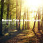 Cover Let The Light Shine In