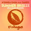 Cover Summer Breeze (Fka Mash Remixes)