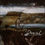 Cover The Thrush in the Storm