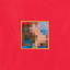 Cover My Beautiful Dark Twisted Fantasy