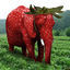 Cover Strawberry Elephant