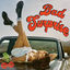 Cover BAD SURPRISE