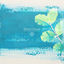 Cover Kindness