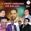 Cover A VENIT NEBUNU DE SALAM