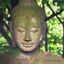 Cover Ancient Serenity