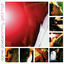 Cover Jimmy Gets High