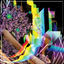 Cover Holy Design