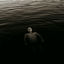 Cover Drowned Adagio