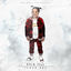 Cover Fick 31er