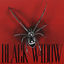 Cover BLACK WIDOW