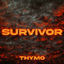 Cover Survivor (Hardstyle Edit)