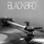 Cover Blackbird (Originally Performed by Beyonce) [Instrumental]