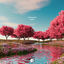 Cover Wishing Well