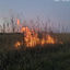 Cover Burnout