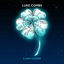 Cover 5 Leaf Clover