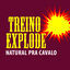 Cover Treino Explode: Natural pra Cavalo