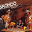 Cover Bronco Amigo