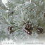 Cover A Peaceful Christmas